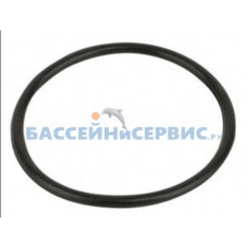Прокладка-кольцо муфты электронагревателя пласт. корпус Pahlen 19970504/19970513